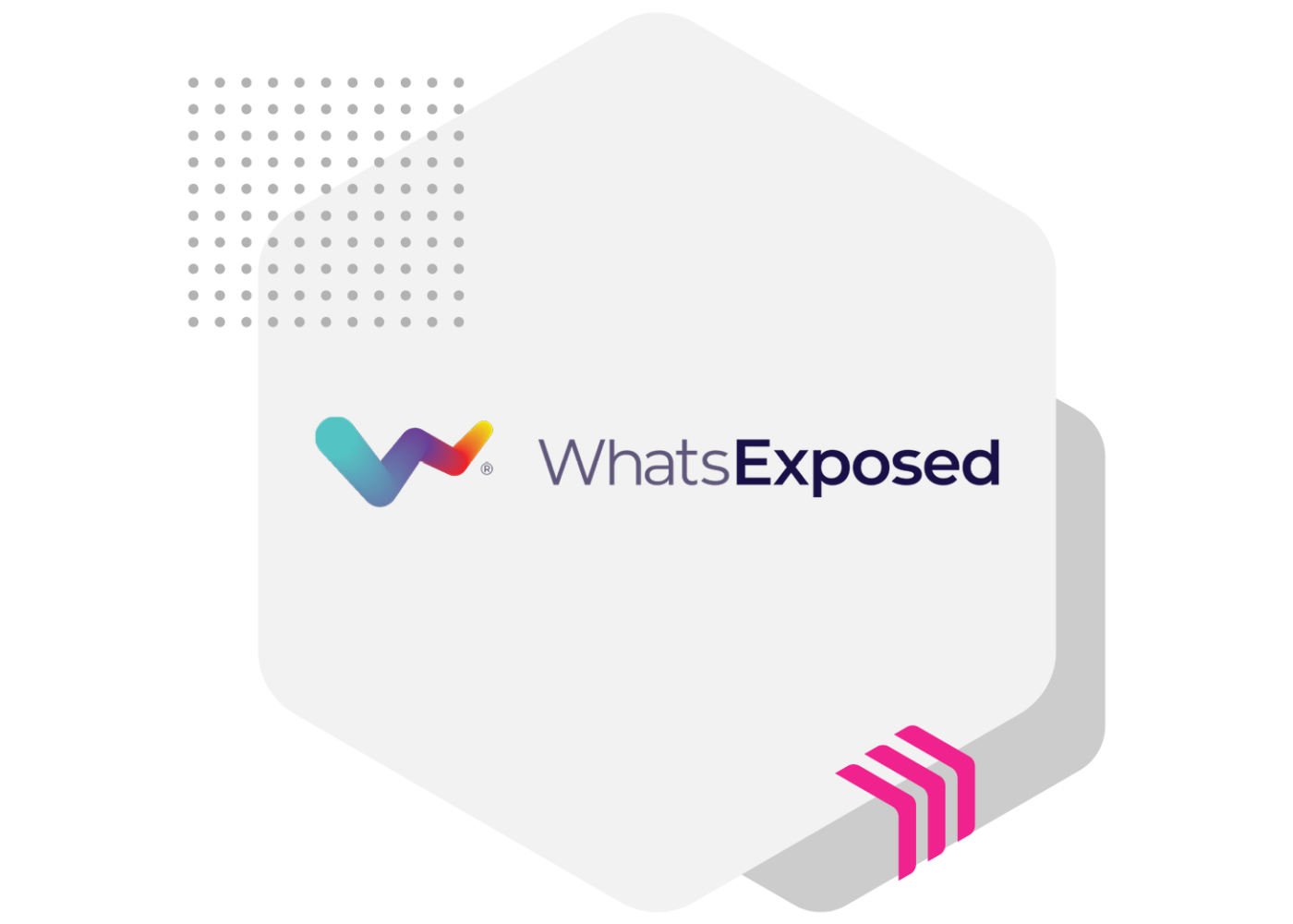 WhatsExposed Hex