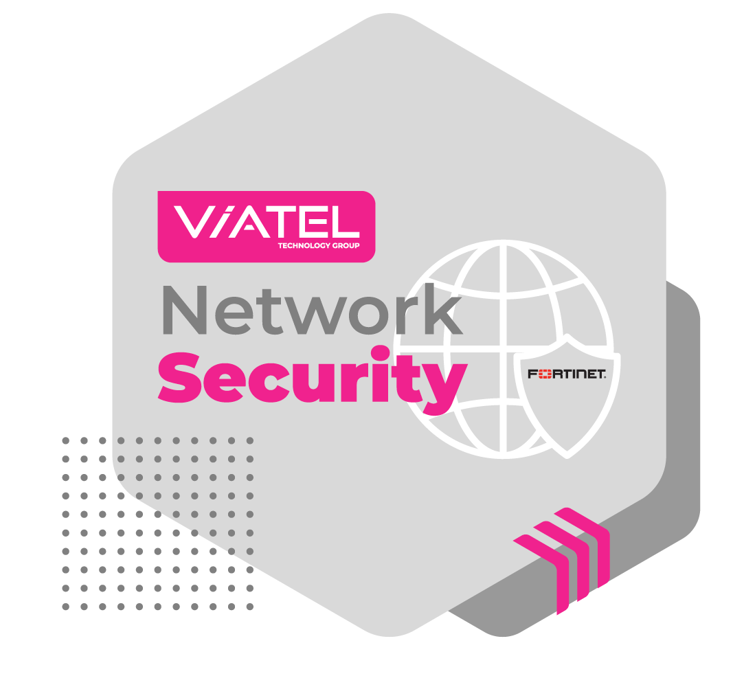 VIATEL Cyber Partner Network Security 2
