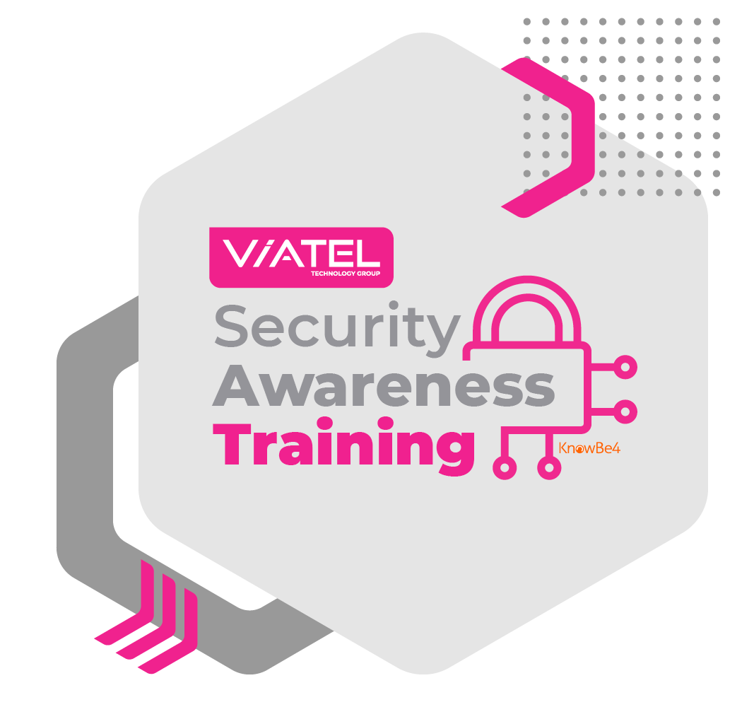 VIATEL Cyber Partner Security Training 2